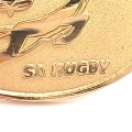 SA Rugby Springboks lapel pin badge