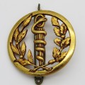 French Military SSA medical support beret badge
