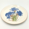 Beautiful Dowson and Dobson flower porcelain plate