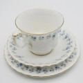 Vintage Royal Albert Memory Lane porcelain trio