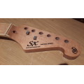 SX guitar neck - from T thinline style