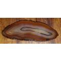 Brown  Agate Slice  Botswana Agate PROTECTIVE AND CONSIDERED VERY LUCKY!