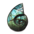 Exquisite quality Labradorite Ammonite  Each piece is approximately 6cm in length.