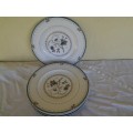 A set of seven vintage Royal doulton royal colony dinner plates