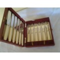 cased vintage set of six bone handle fish knifes and forks