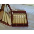 cased vintage set of six bone handle fish knifes and forks