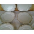 Stunning lot of six vintage porcelain Hutschen Reuther side plates