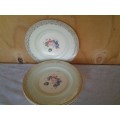A stunning vintage pastel green and floral pattern lot of vintage Burleigh dinner plates
