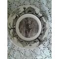 stunning Lion display wall plate by Wedgwood by the Kruger National park