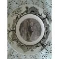 stunning Lion display wall plate by Wedgwood by the Kruger National park
