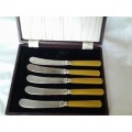 A boxed set of five barker light fruit knifes