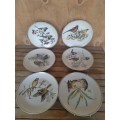 Six stunning  heritage  collection  bird scene plates