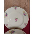 A set of six Alfred meakin floarl porcelain dinner plates