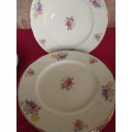A set of six Alfred meakin floarl porcelain dinner plates