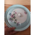 Pastel green blue veggie dish and lid