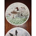 Two stunning royal worster bird scene plates