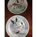 Two stunning royal worster bird scene plates