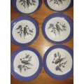 6 nice pheasant scene procelain saucers