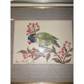 Stunning medium framed sighed water color  of a bird