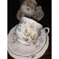 A pair of Richmond wild flowers tea cup trios