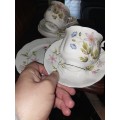 A pair of Richmond wild flowers tea cup trios