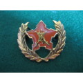 SADF 5 year voluntary service badge