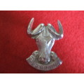 Regt Port Natal chrome beret badge