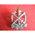 Regiment Schoenspruit BiM cap badge