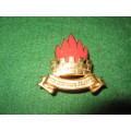 Regiment Sasolburg brass and enamel cap badge, scarce