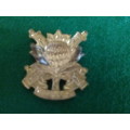 Regiment Langenhoven gilding metal beret badge O1182