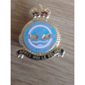 RAF 617 Squadron (Dambusters,) brass and enamel badge