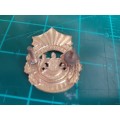 Lebowa Police brass cap badge voided D1538