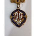 The Order of the Sons of Temperence Medal