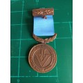 Institute of Traffic Officers Protection Services medal with star emblem