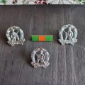 SADF Commando chrome Beret badge, collars pair, and Balkie