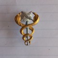 SADF SA Medical Services Technical and Admin BiM Breast badge