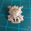 SADF Regt Langenhoven brass cap badge D679