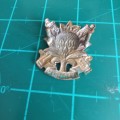 SADF Regt Langenhoven brass cap badge D679