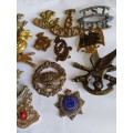 Lot of 17 Military badges, missing lugs