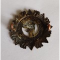 Irish Defence Force  brass cap badge