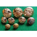 SADF Rand Light Infantry selection of 9 buttons