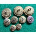 SADF Rand Light Infantry selection of 9 buttons