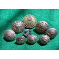 SADF / UDF selection of 9 Natal Carbineers buttons