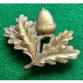 British Army South Notts Hussars cap badge
