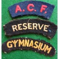 SA UDF Gymnasium, Reserve and ACF cloth titles