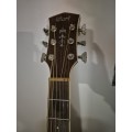 Cort acoustic guitar NTL20