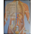 The Encyclopedic Atlas of the Human Body by Janet Parker - HAED COVER