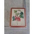 Biscuit tin -  berries - white / red