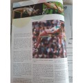 Olympic Sport Magazine Athens 2004 Special Edition
