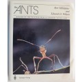 The Ants -  Holldobler & Wilson